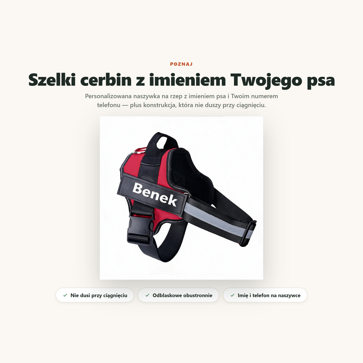 Poznaj szelki cerbin z imieniem psa