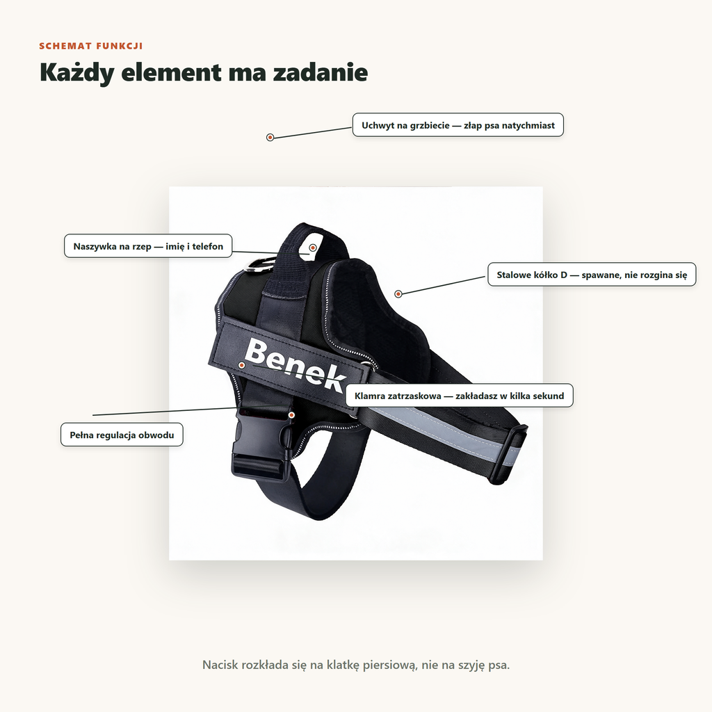 Schemat funkcji szelek dla psa cerbin