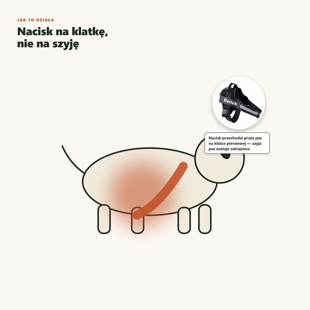 Nacisk na klatke a nie na szyje - jak dzialaja szelki