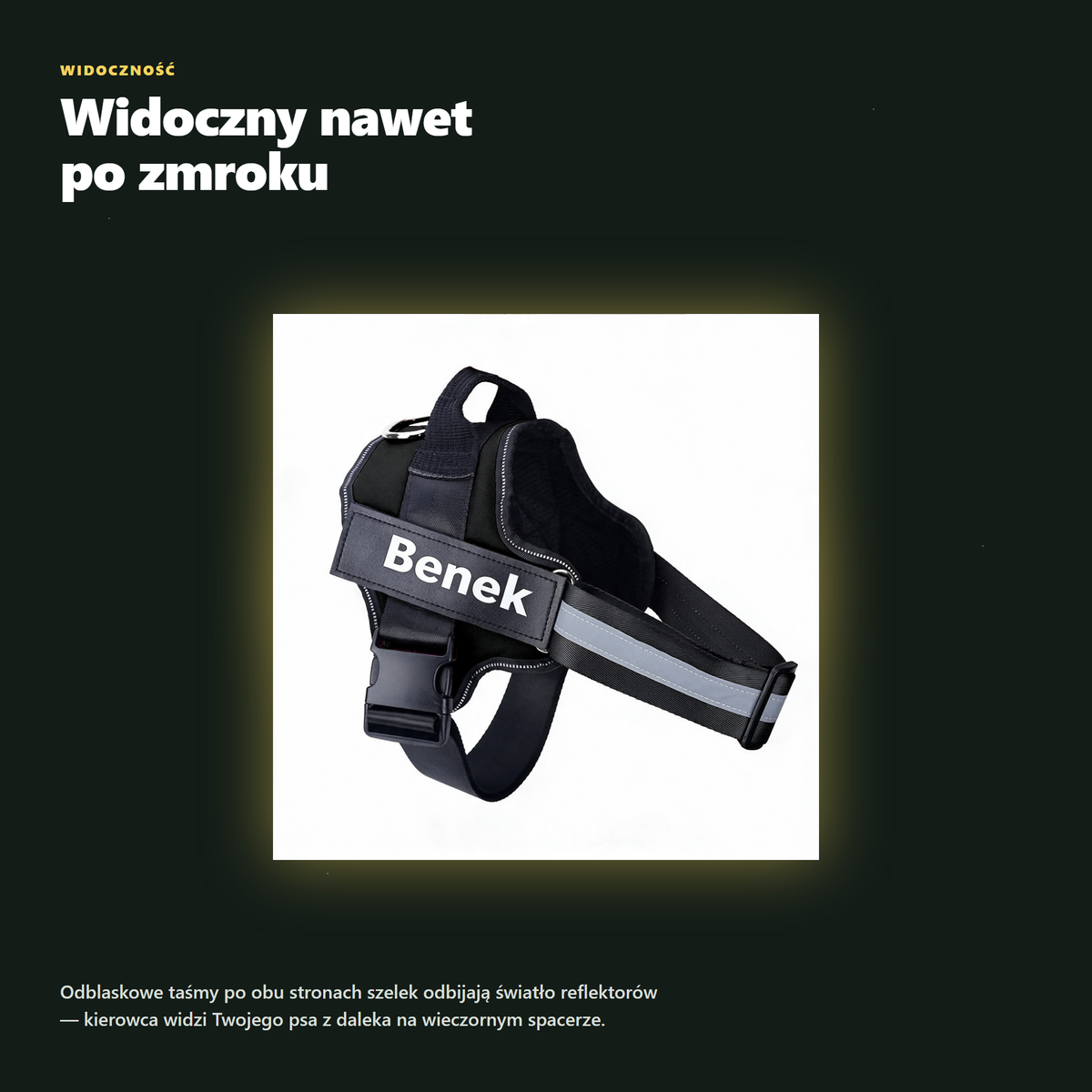 Odblaskowe szelki dla psa widoczne po zmroku